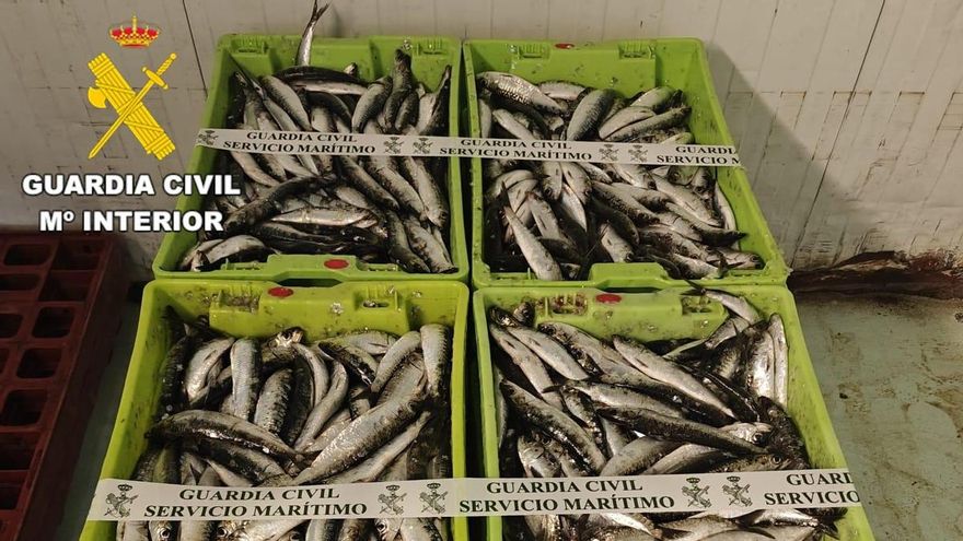 La Guardia Civil requisa 200 kilos de sardina con destino al puerto de A Coruña
