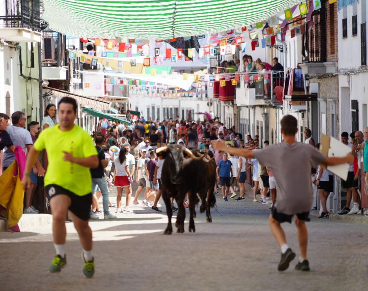 Ambiente en uno de los encierros de El Viso, parecidos a los Sanfermines. | MANUEL GONZÁLEZ