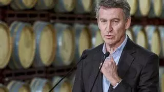 Feijóo asume su "compromiso" con la dana: "Quiero que se investigue hasta el final y saber quiénes fueron los responsables"