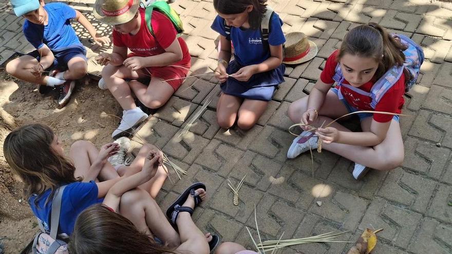 ¿Qué se traen entre manos? Los colegios de Gata de Gorgos y Pedreguer trenzan "llata" y trenzan futuro
