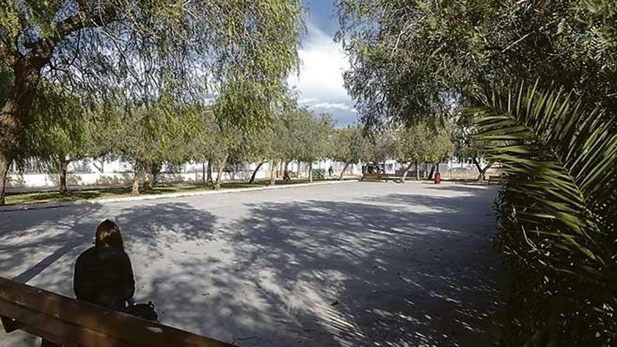 El presunto camello fue sorprendido en el parque frente al instituto de Son Ferrer.