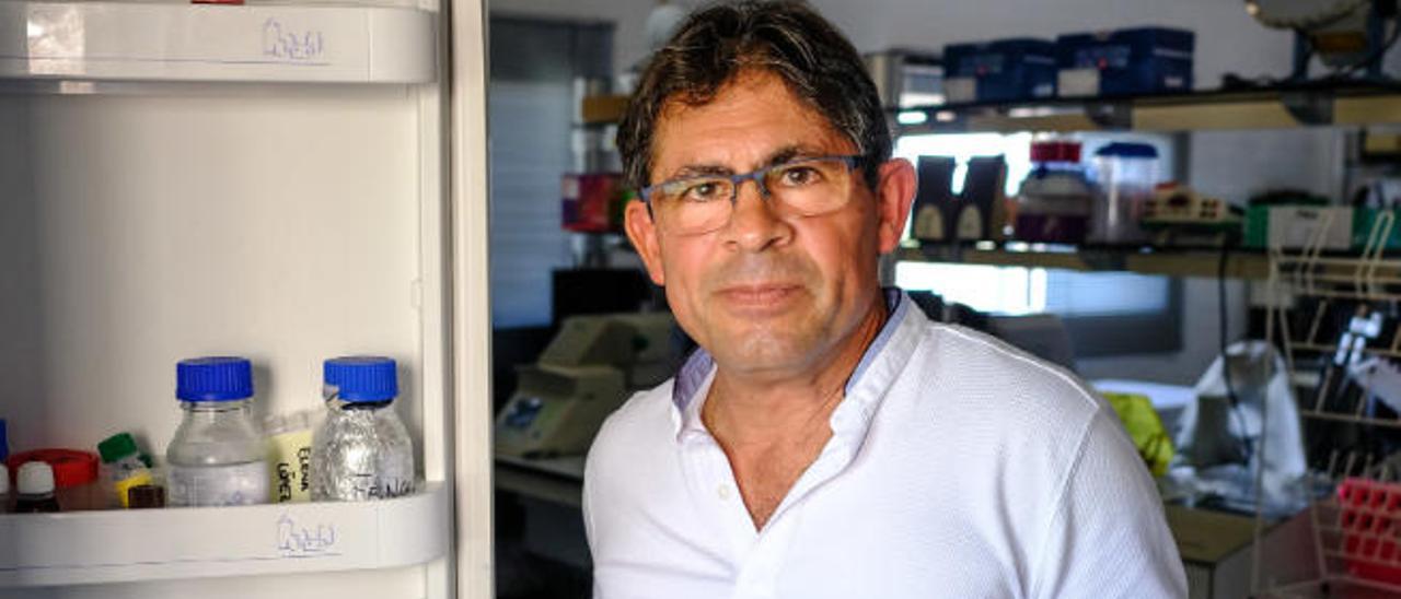 José B. Poveda en el laboratorio del Instituto de Sanidad Animal y Seguridad Alimentaria (IUSA) de la ULPGC.