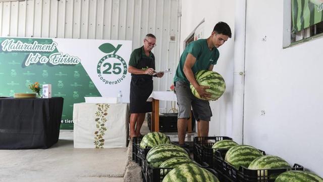 Un momento del pesaje en el concurso de sandías de Agroeivissa. | TONI ESCOBAR