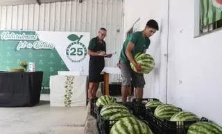 El calor favorece un exceso de sandía en Ibiza y satura el mercado