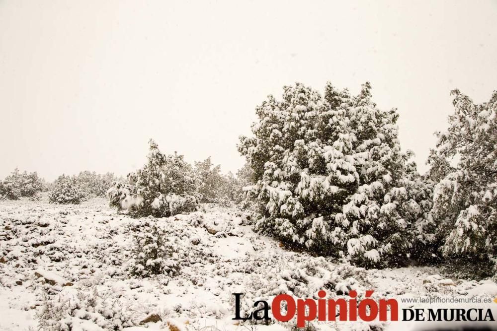 Nieve en las pedanías altas del Noroeste