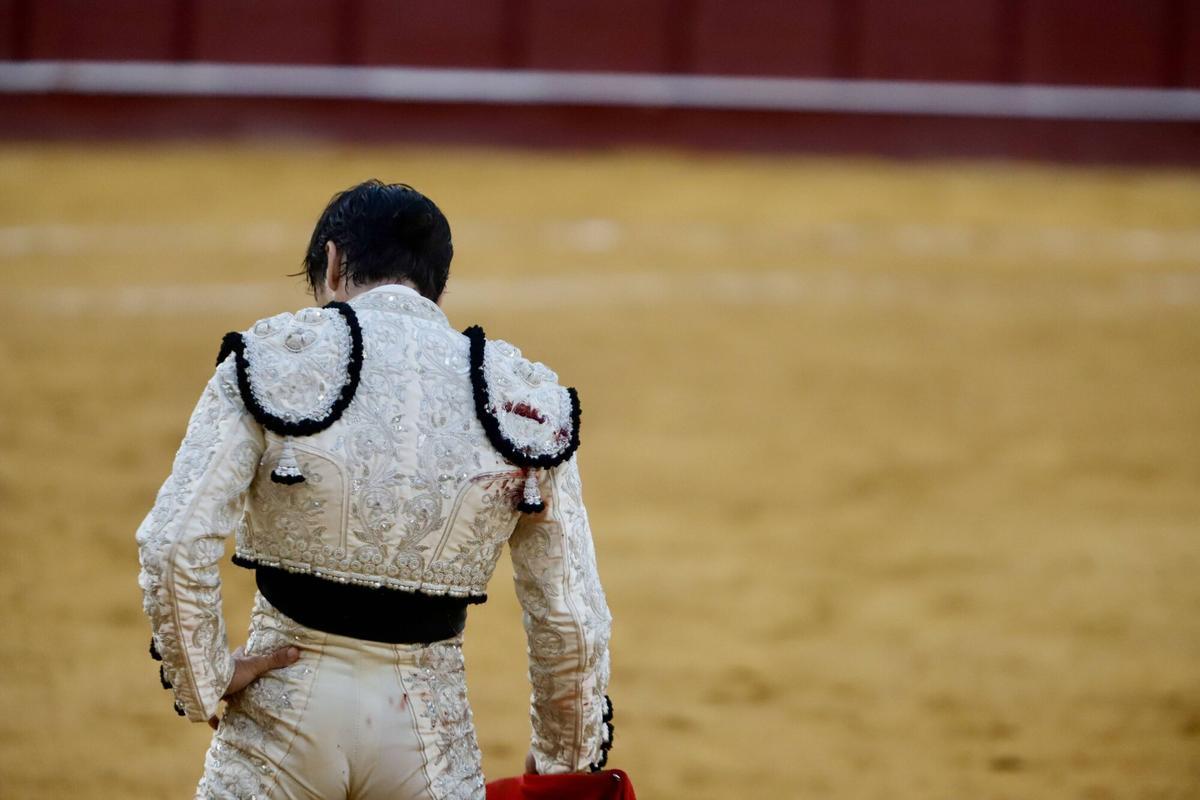 La Feria Taurina de Málaga 2026 celebra la corrida Sabor a Málaga, con un cartel formado por los toreros Mari Paz Vega, David Galán y José Antonio Lavado. La Feria Taurina de Málaga 2026 celebra la corrida Sabor a Málaga, con un cartel formado por los toreros Mari Paz Vega, David Galán y José Antonio Lavado.