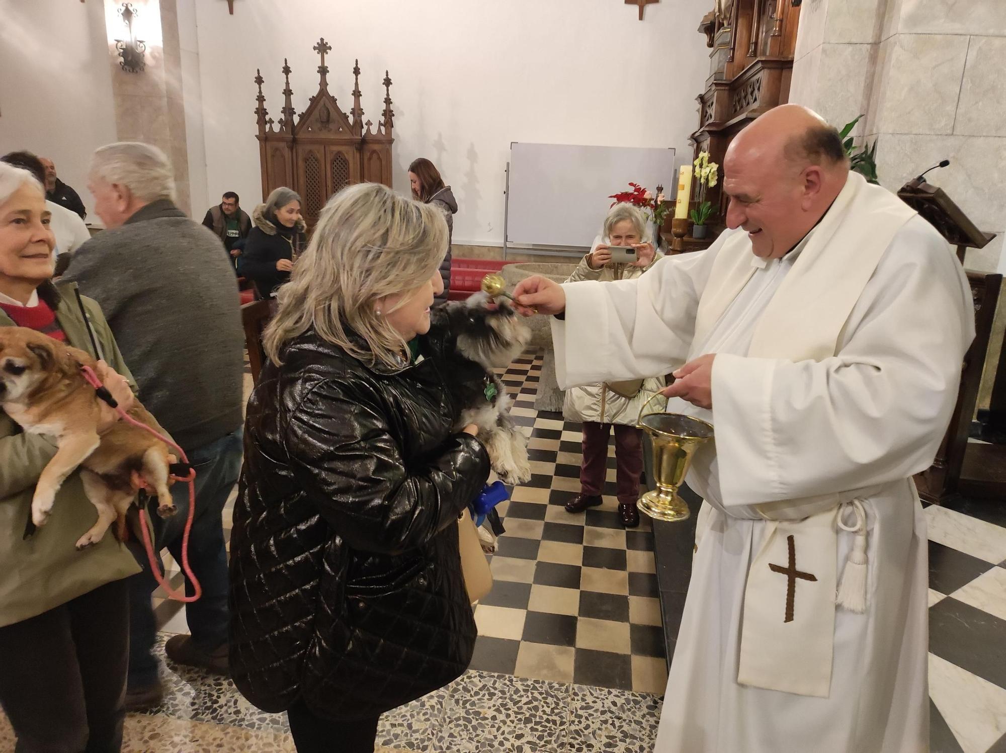 En imágenes: Así fue la bendición de mascotas por San Antón, en Tapia