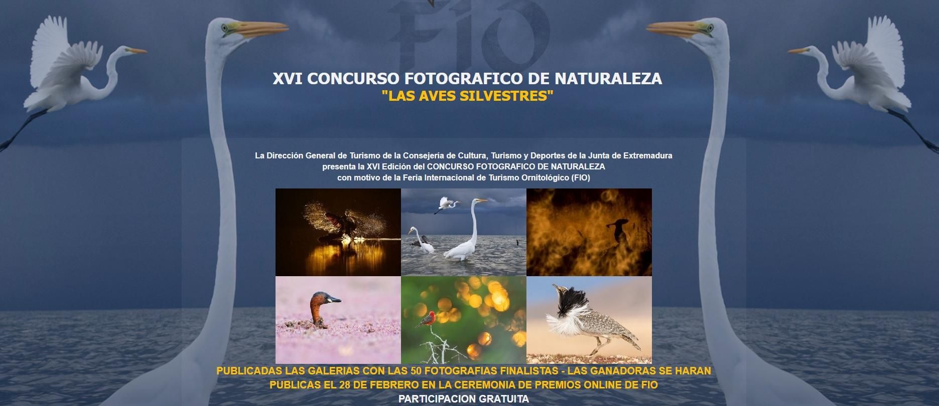 La convocatoria del concurso fotográfico.