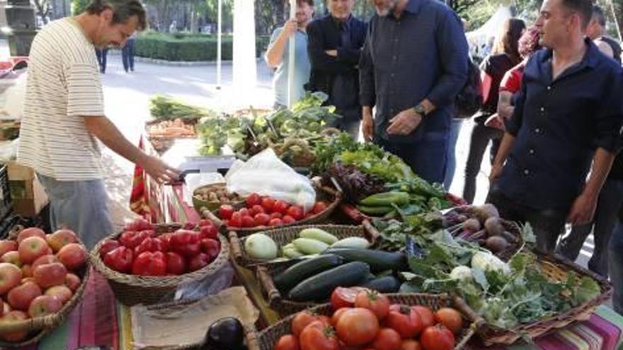 Miles de personas disfrutan de la oferta ecológica  y saludable de la Biosfira alcireña