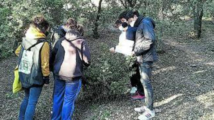 L’alumnat de La Salle Manresa col·labora en un projecte d’aprenentatge i servei comunitari amb el Parc de la Sèquia | ARXIU PARTICULAR