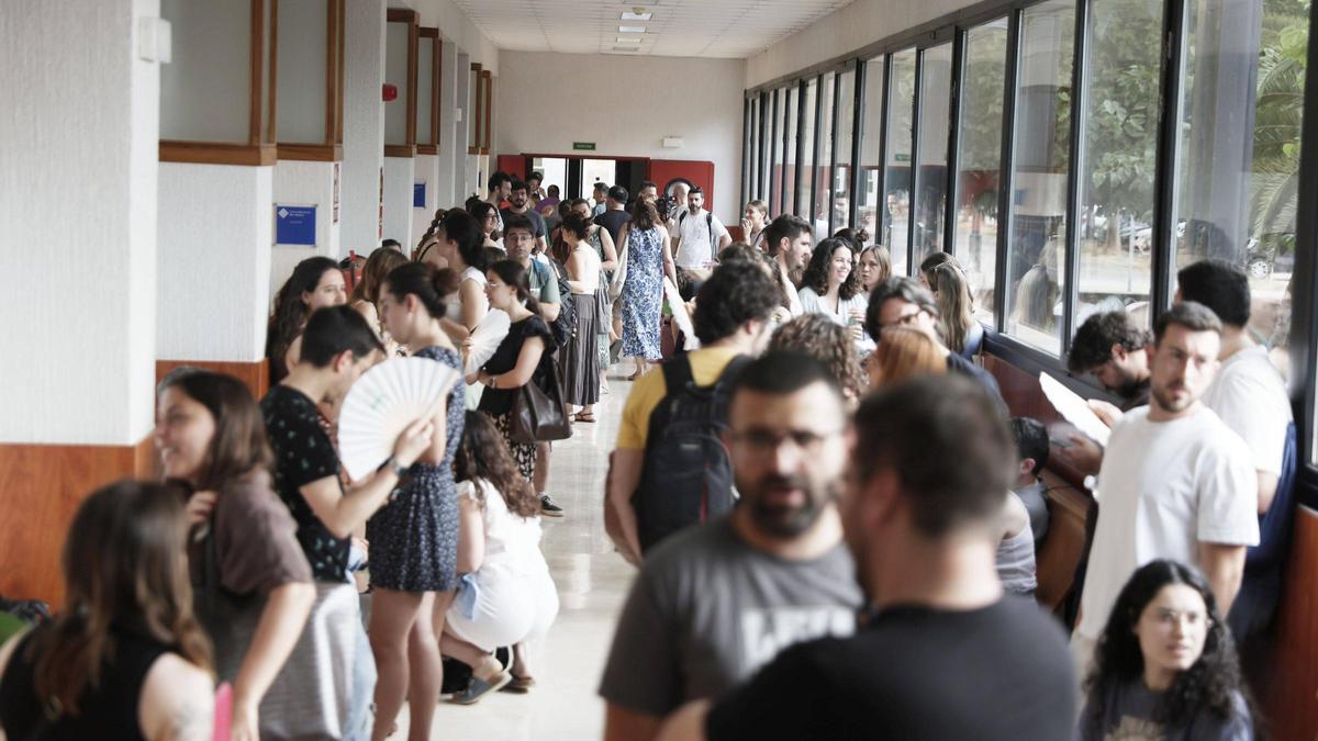 Las seis nuevas titulaciones clave que implantará la UIB: Ciencias del Mar, doble grado de Matemáticas y Física, Arquitectura e Ingenierías