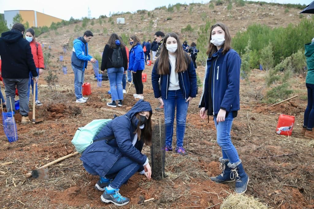 Carmen y la corte se suman a la "plantà verda" de las Fallas