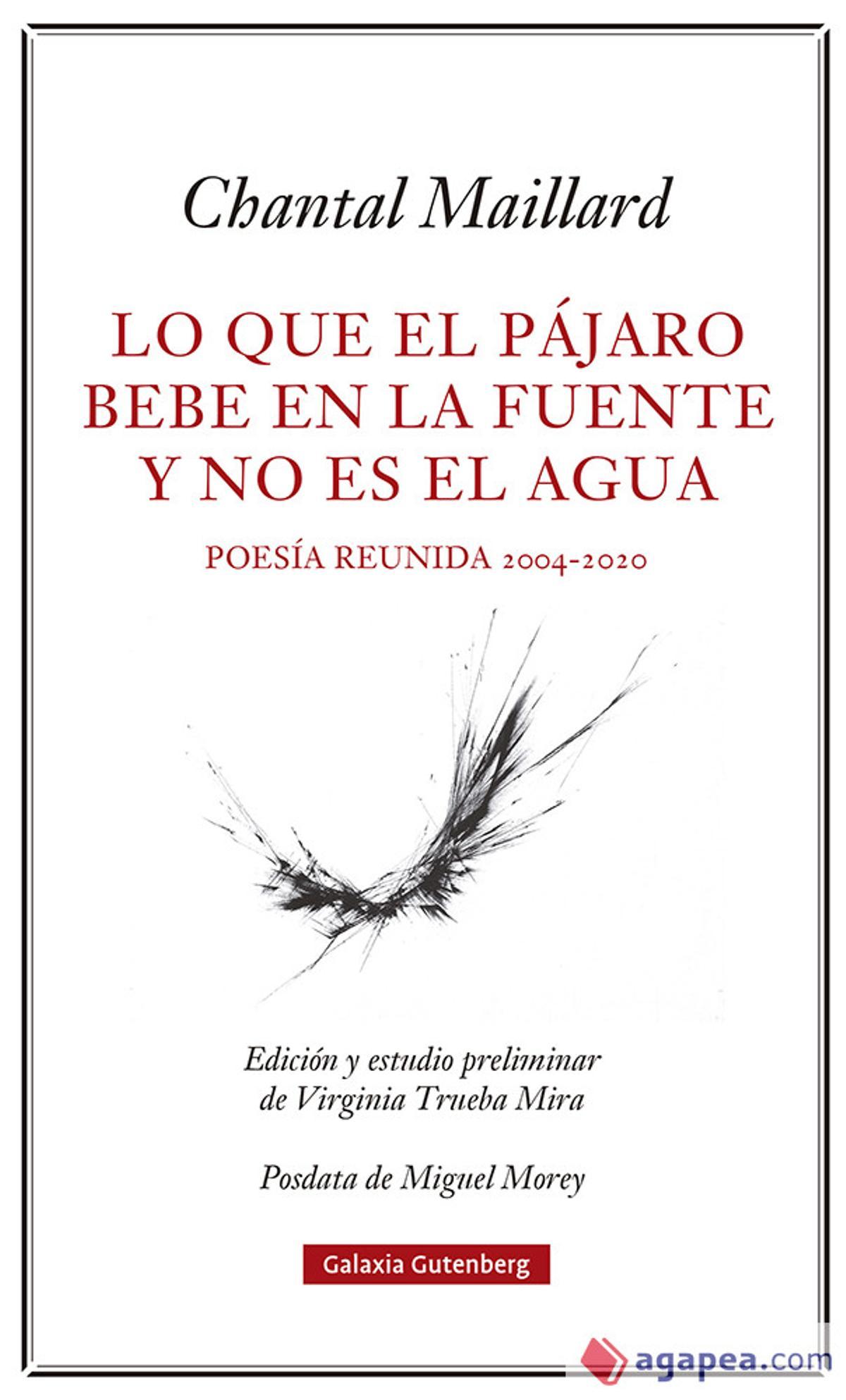 'Lo que el pájaro bebe en la fuente y no es el agua'