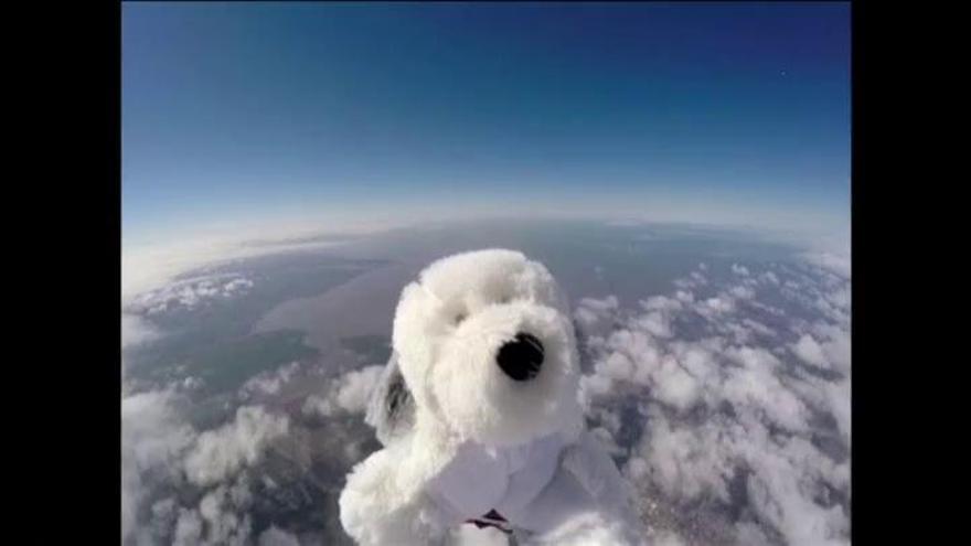 Se busca perro de peluche perdido en el espacio