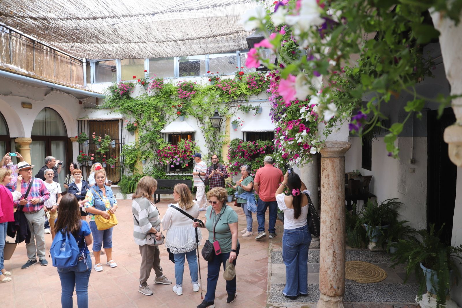La Ruta 4 de los Patios de Córdoba, en imágenes
