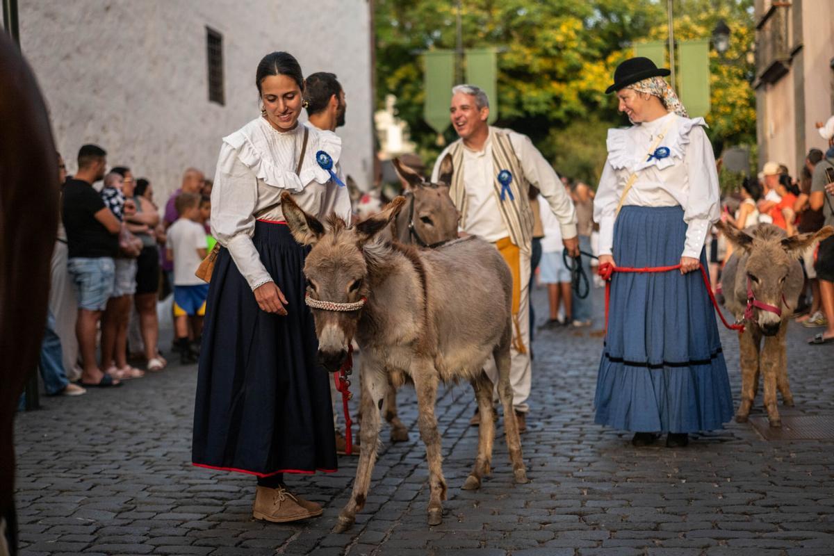 Noche de los Burros en La Laguna