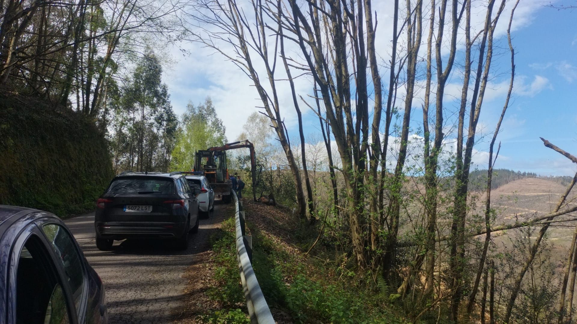 EN IMÁGENES: Un fallecido tras caerle un árbol encima de Valdés