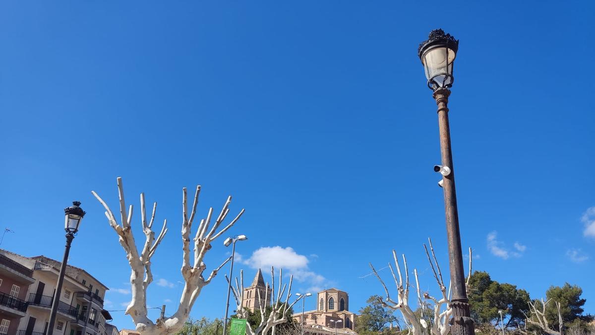 En la farola de la derecha se aprecian dos de las cámaras que vigilan la Plaça del Fossar de Sineu.