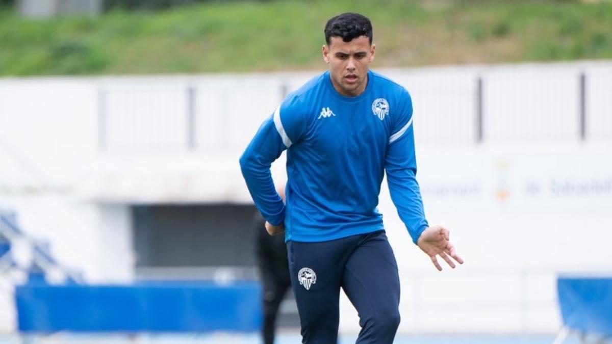 Los arlequinados, con todo a las islas