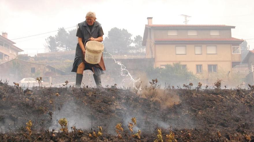 Una mujer refresca su finca con cubos de agua, en la parroquia de Cepeda, en Pazos de Borbén. / Antonio Pinacho