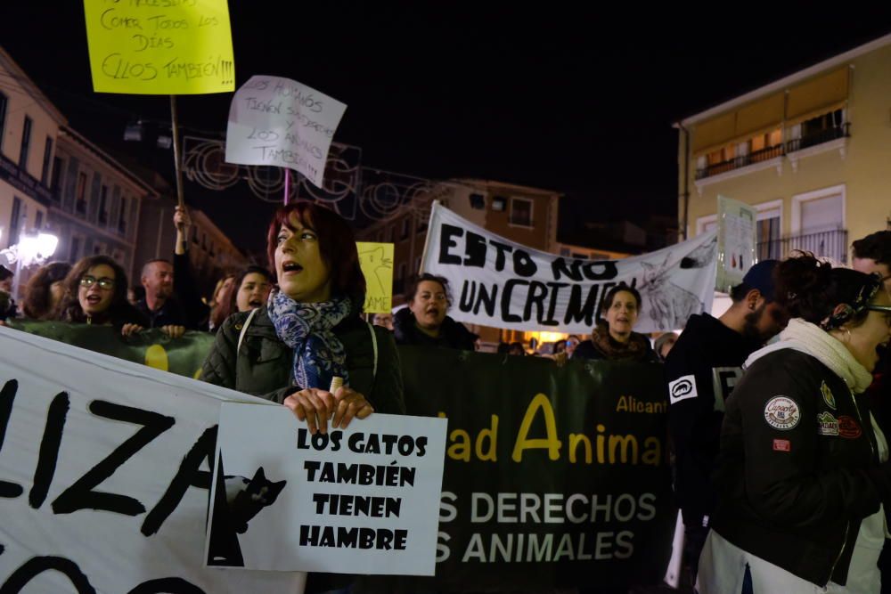 Manifestación de "Gatitos en apuros" en Elda
