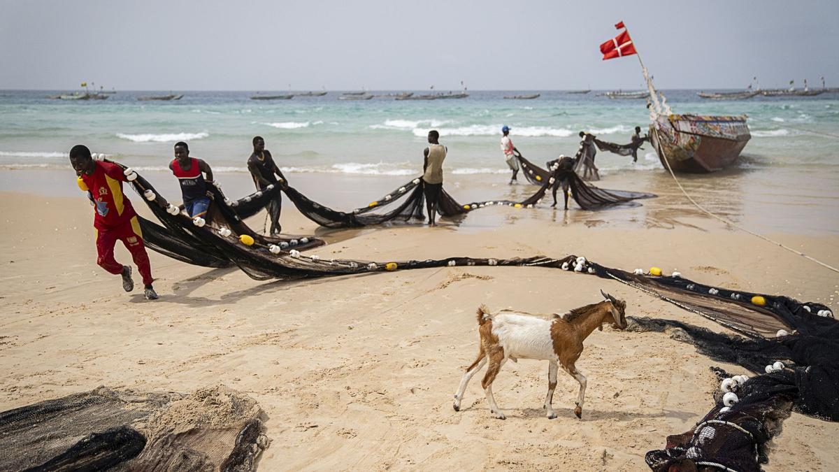 Unos jóvenes pesqueros tiran de una red en la playa de Kayar.