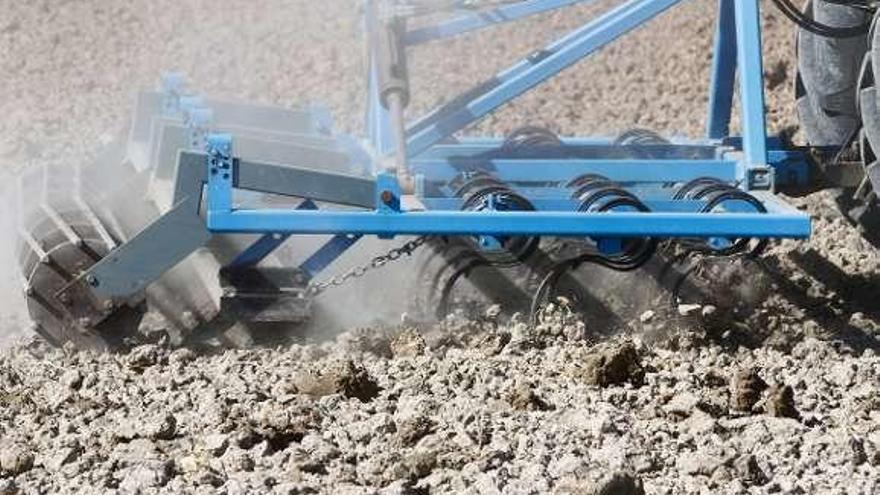 Un agricultor trabaja la tierra completamente seca por la sequía.