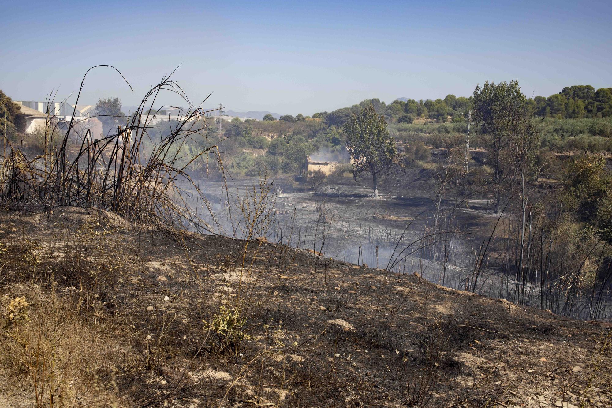 Los incendios de Ontinyent y L'Olleria movilizan una importancia dotación de bomberos y hasta 16 medios áreos