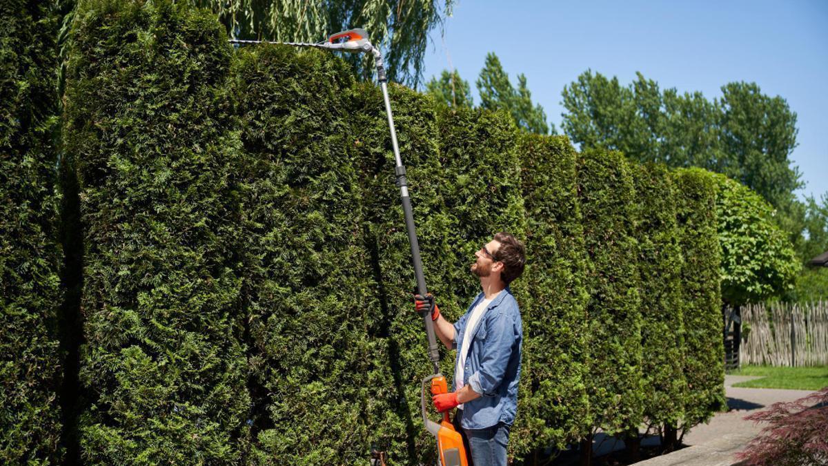 Un hombre poda los setos de su jardín.
