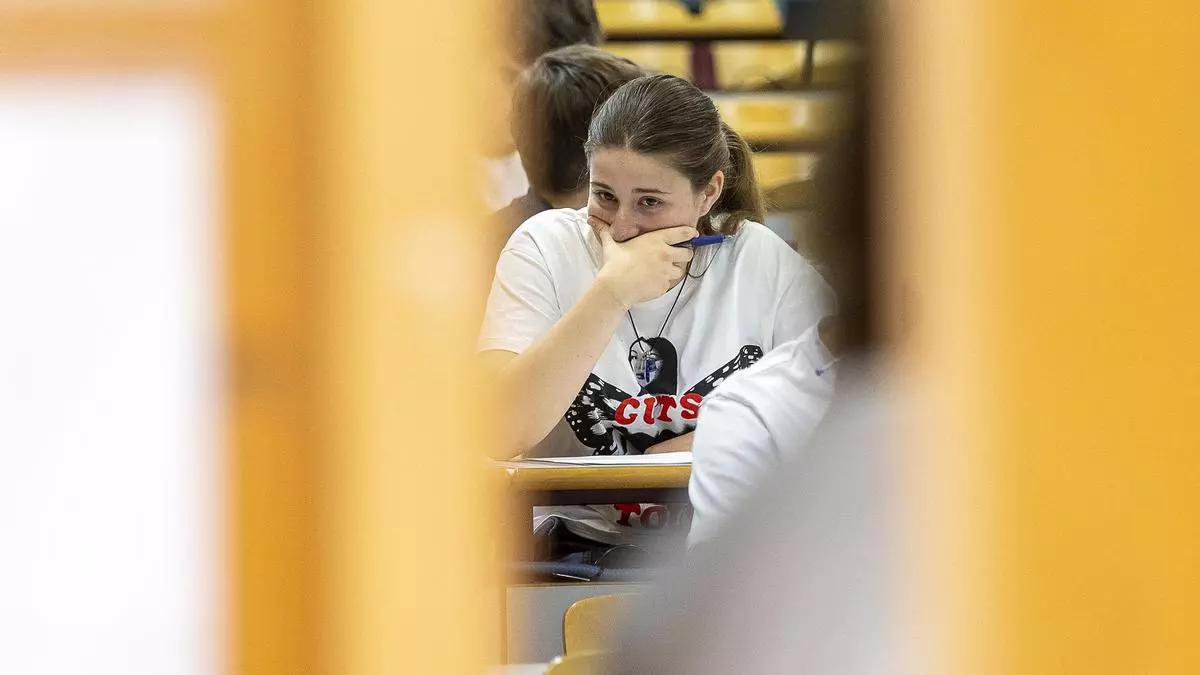 Cómo consultar hoy las notas de la Selectividad en Alicante: este es el usuario y la contraseña que necesitas