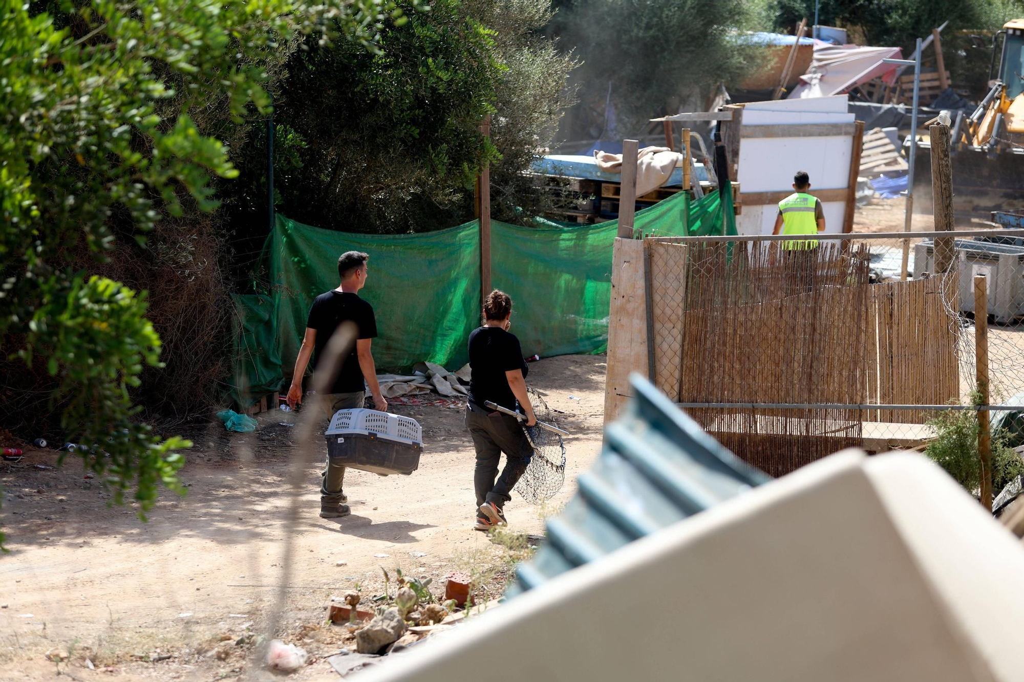 Todas las imágenes del desalojo de Can Rova 2 en Ibiza