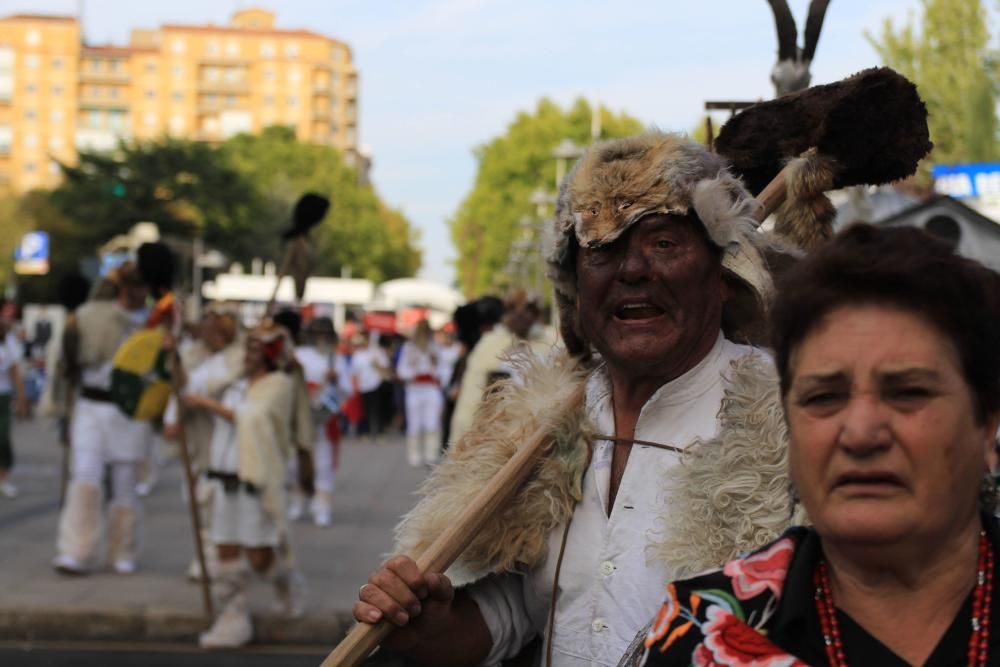 Desfile de mascaradas en Zamora