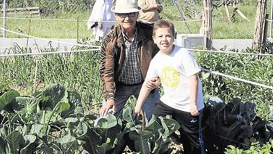 VINARÒS, LA CIUDAD CON MÁS HUERTOS SOCIALES, CON 115