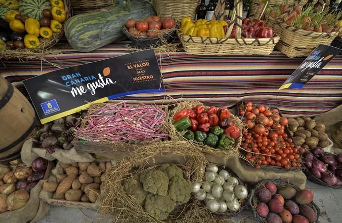 ARUCAS GRAN CANARIA A 27/05/2017. Feria de Ganado en la Granja del Cabildo de Gran Canaria. FOTO: J.PÉREZ CURBELO