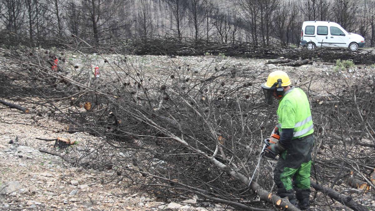 Zona de Andilla afectada por el fuego