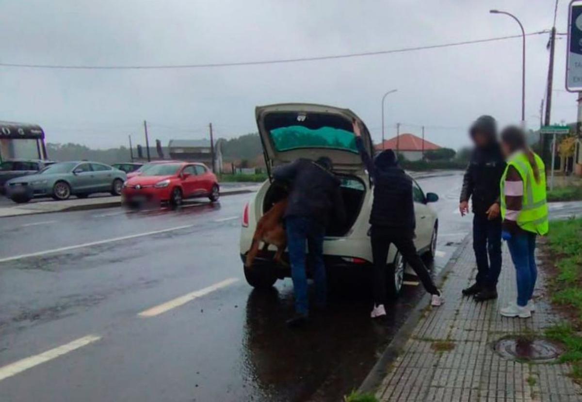 Registrando con perros uno de los coches de la pareja. |  L.D.
