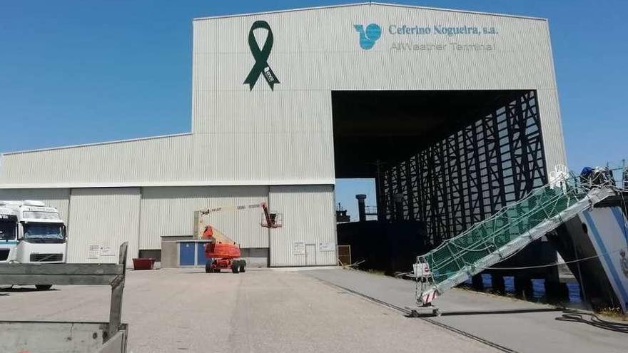 El lazo verde de apoyo a Ence en las instalaciones de Nogar en el puerto de Marín. // Ence