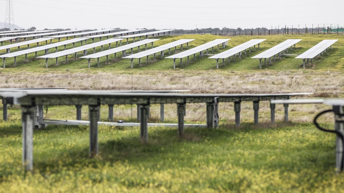 Placas fotovoltaicas de la instalación que Iberdrola tiene junto a la carretera de Aliseda.