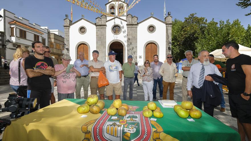 Spar Gran Canaria vende 10 toneladas de manzana reineta de Valleseco