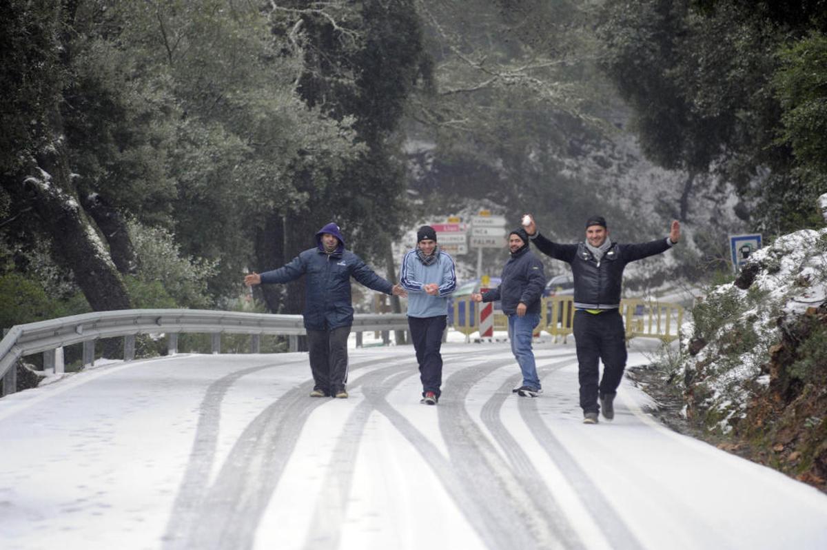 Se cumplen 14 años de la gran nevada en Mallorca de febrero de 2012, la segunda más importante de la historia