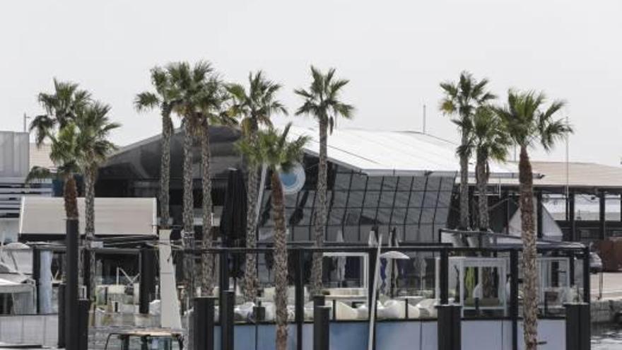 Imagen de las instalaciones de Marmarela, situadas en el muelle de Levante del puerto de Alicante.