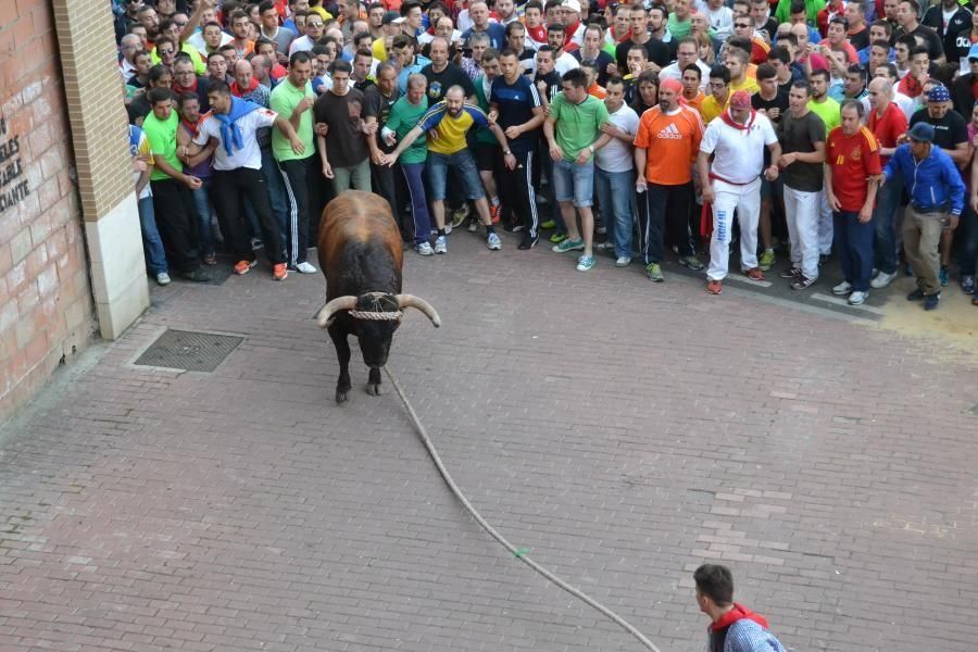 Enmaromado 2016: Así fue el Día Grande en Benavent