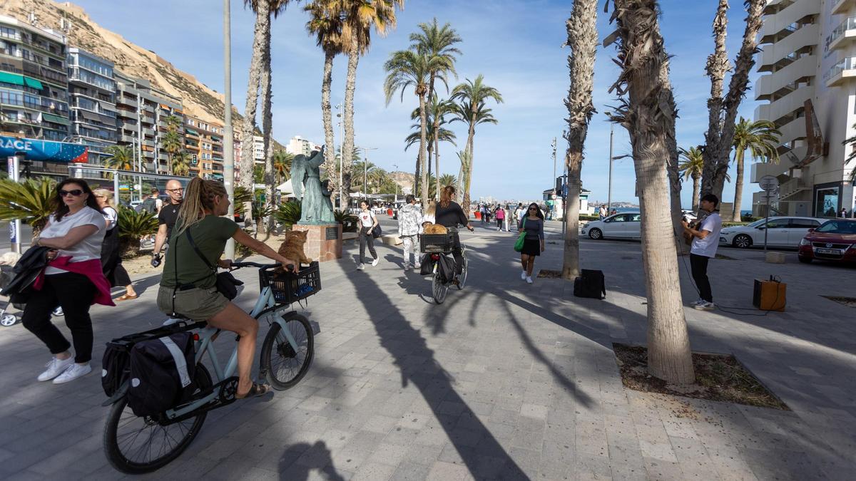 Numerosas personas se desplazan por Alicante, este domingo.