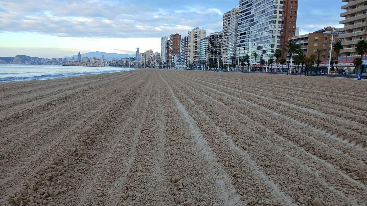 La limpieza de los arenales forma parte sustancial de la promoción de las playas de Benidorm.