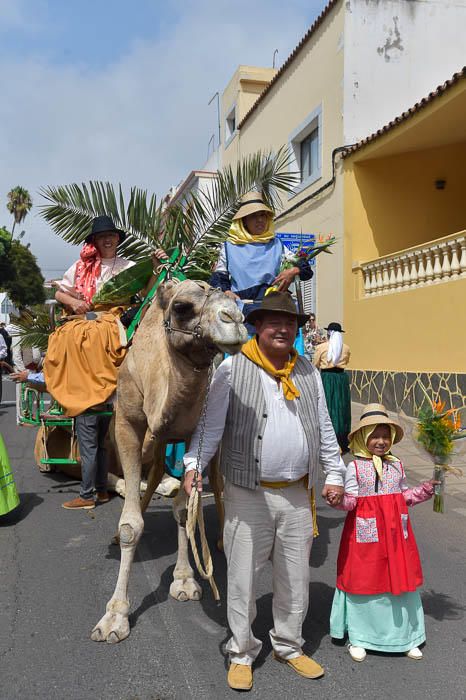 Carretas y grupos en la romería del Pino