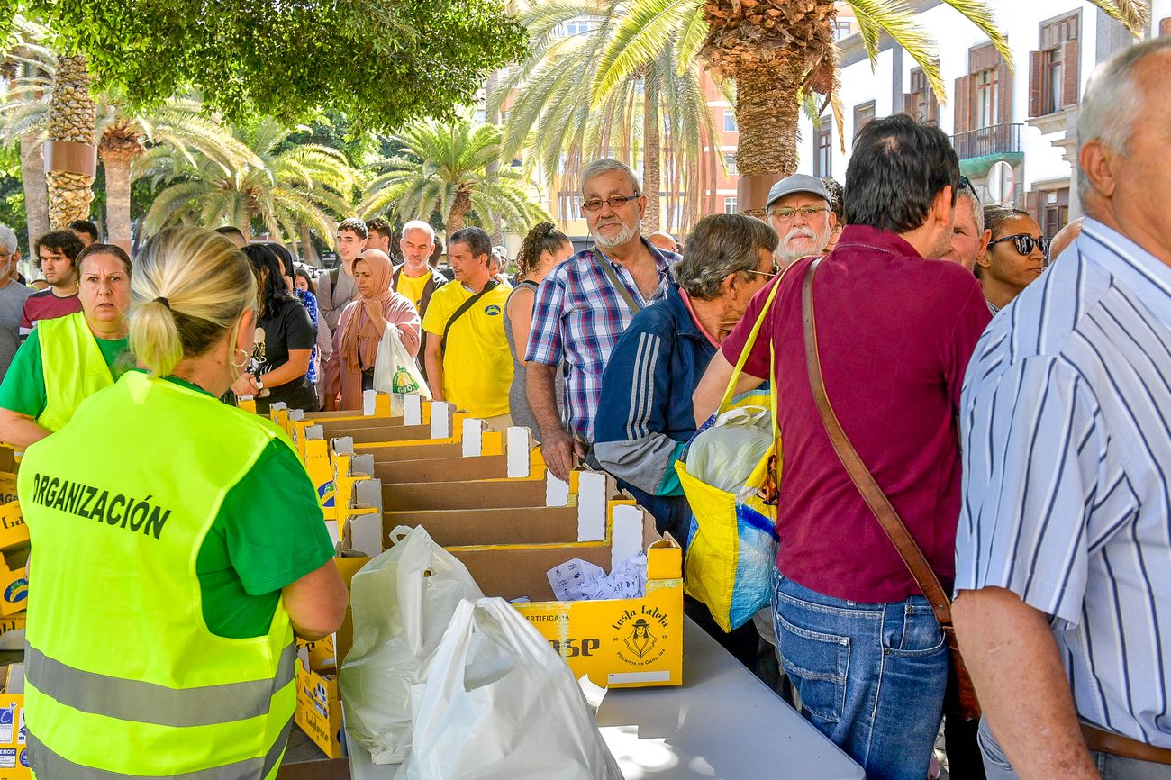 Tractorada del sector primario en Las Palmas de Gran Canaria (21/02/24)