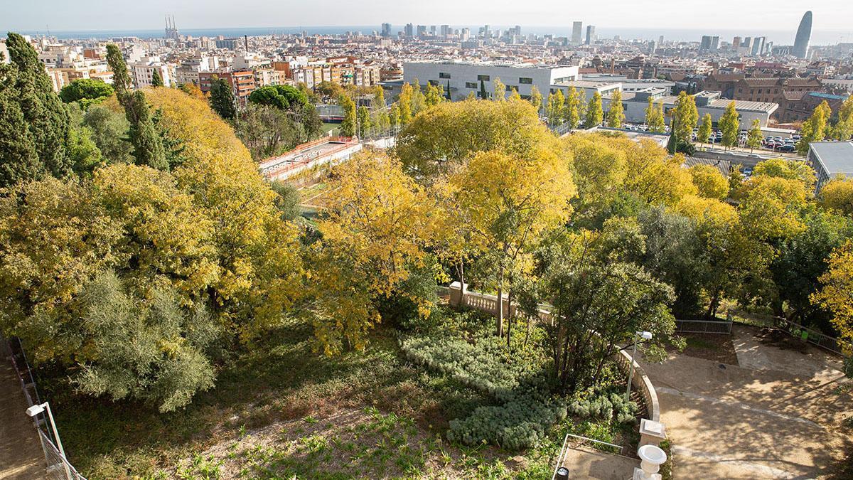  Los jardines del Doctor Pla i Armengol.