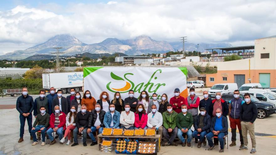 El agricultor en el epicentro de la producción del níspero