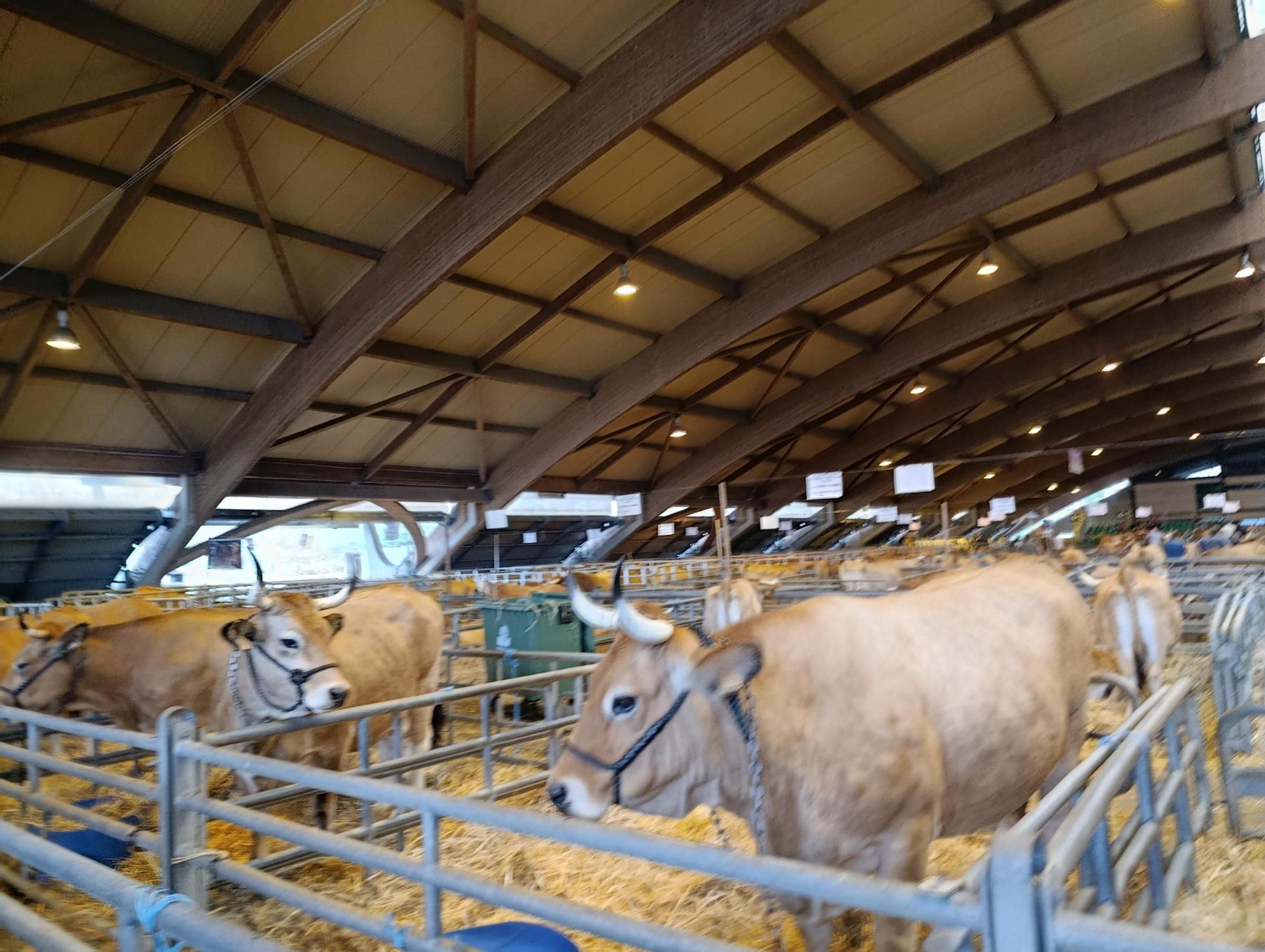 Arranca Agrosiero en La Pola