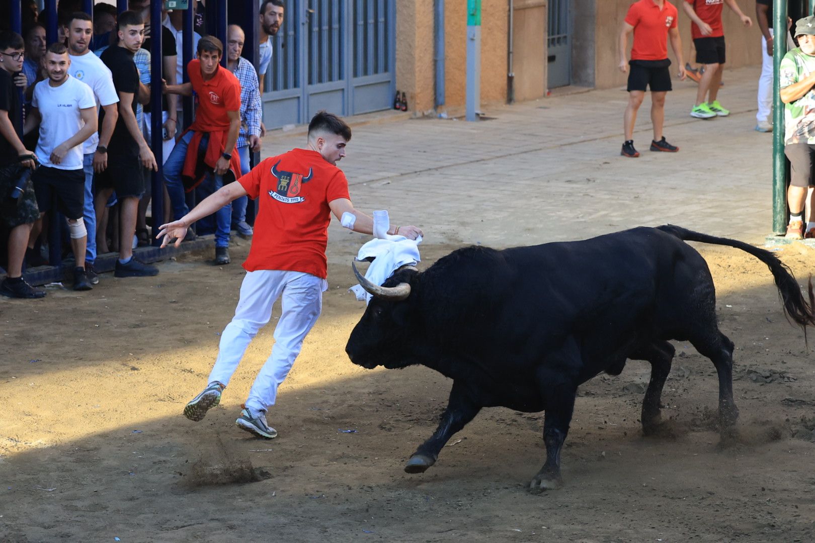Las imágenes del primer encierro y de las exhibiciones taurinas de las fiestas de Almassora